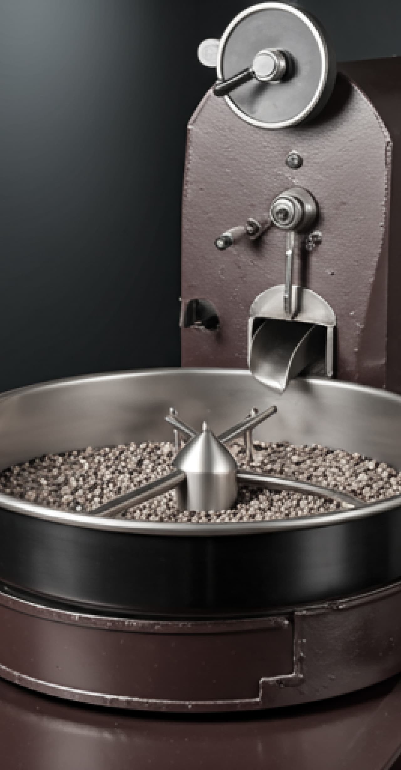 Roasting Process